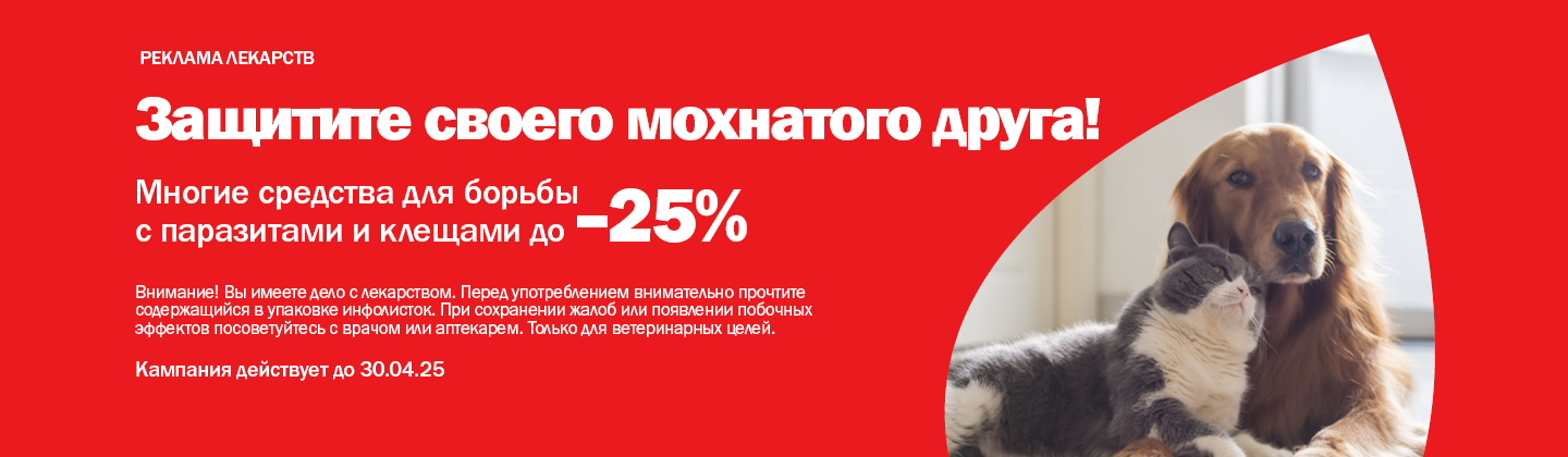 Домашние животные