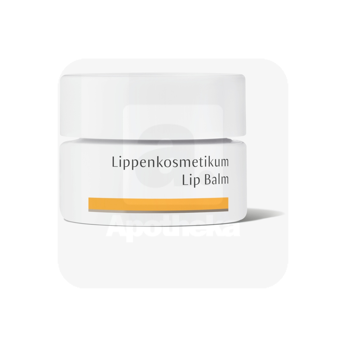 DR.HAUSCHKA TAASTAV HUULEPALSAM 4,5G - Изображение товара