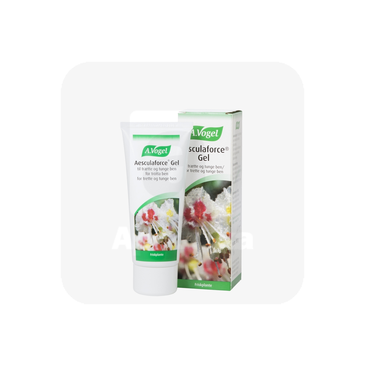 A.VOGEL AESCULUS GEL (HOBUKASTANIGEEL) 100G - Изображение товара