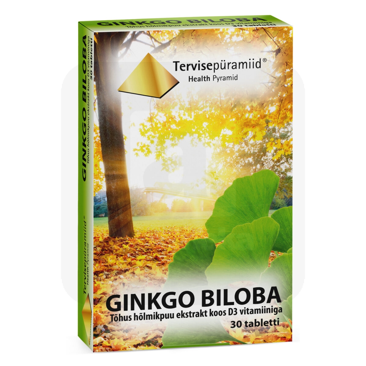 TERVISEPÜRAMIID GINKGO BILOBA TBL N30 - Изображение товара