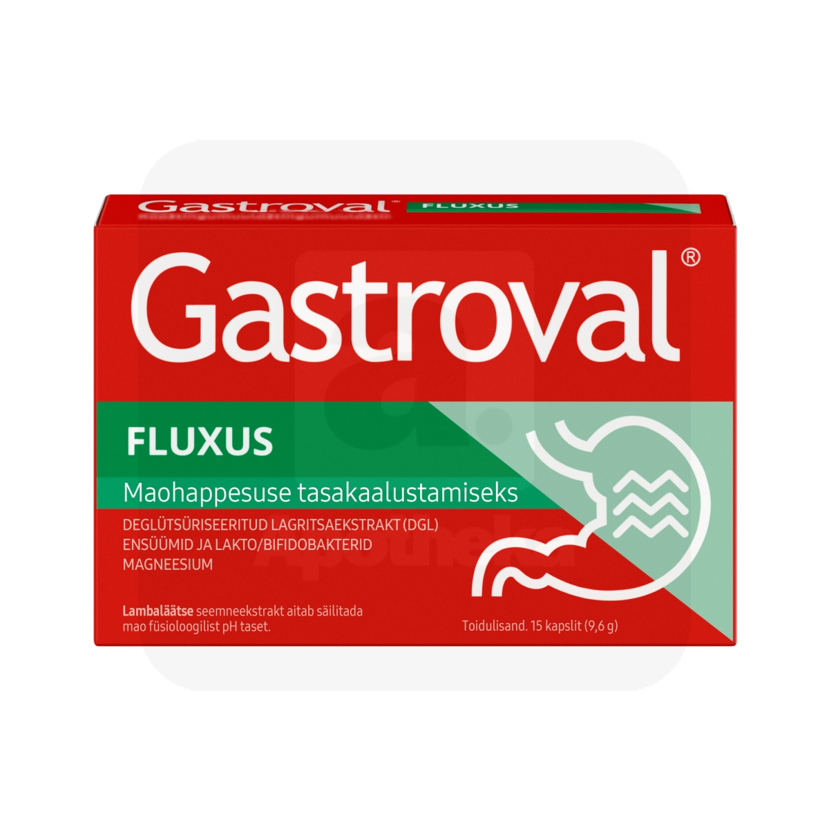 GASTROVAL FLUXUS KAPSLID N15 - Изображение товара 1