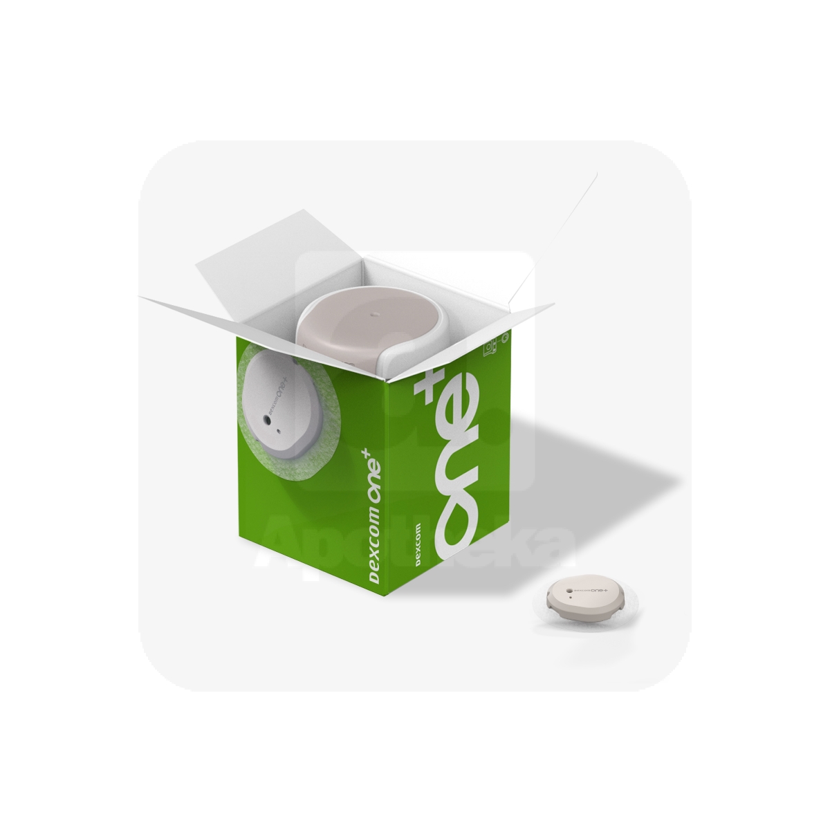 DEXCOM ONE+ KOMPLEKT (SENSOR+SAATJA) - Изображение товара 1
