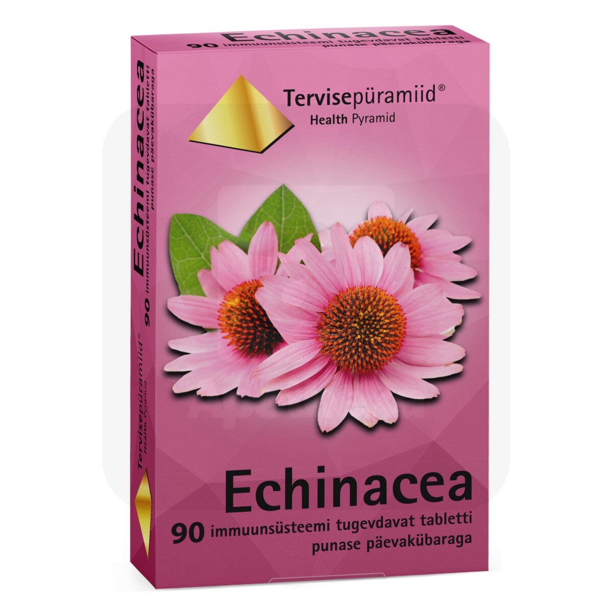 TERVISEPÜRAMIID ECHINACEA TBL N90 - Изображение товара