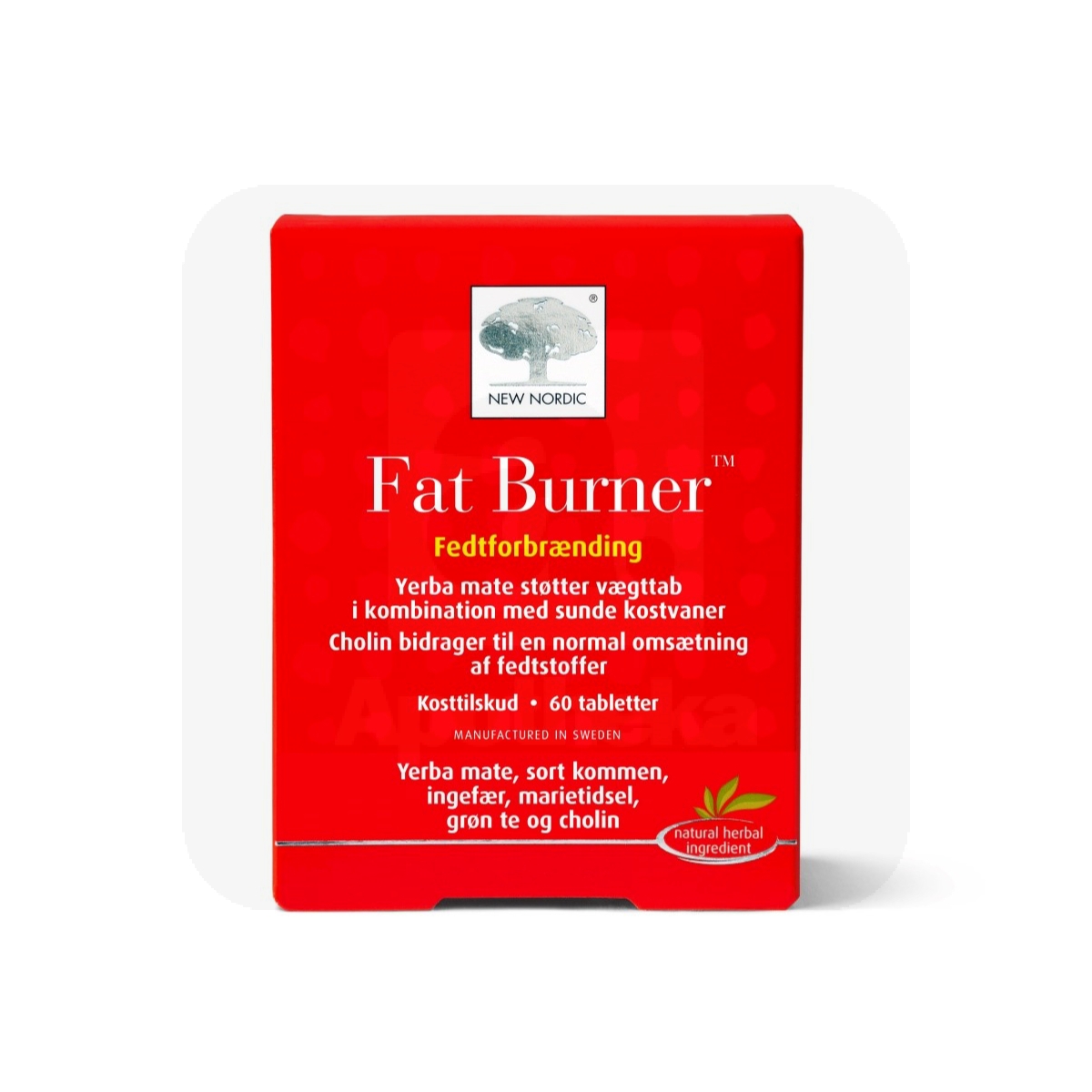 NEW NORDIC FAT BURNER TBL N60 - Изображение товара