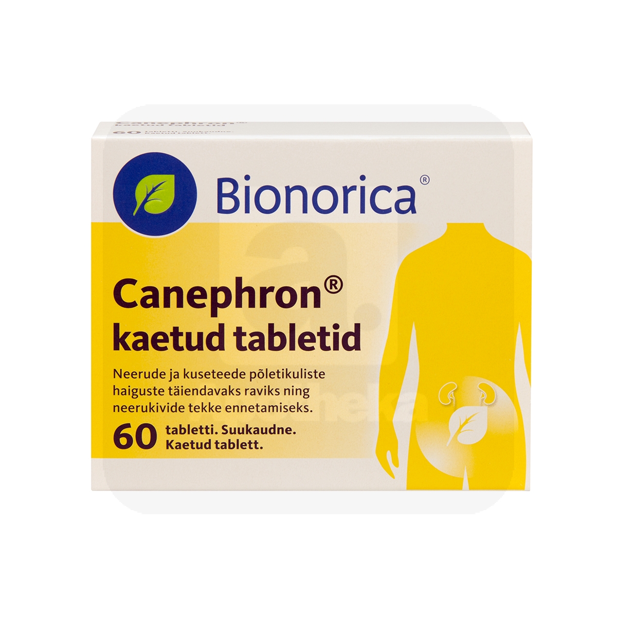 CANEPHRON KAETUD TBL 18MG+18MG+18MG N60 - Изображение товара