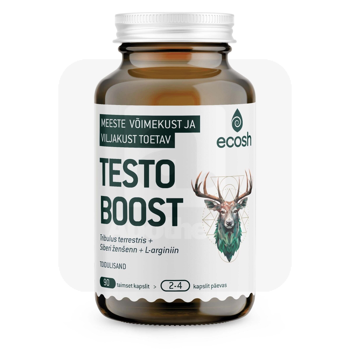 ECOSH TESTOBOOST N90 - Изображение товара