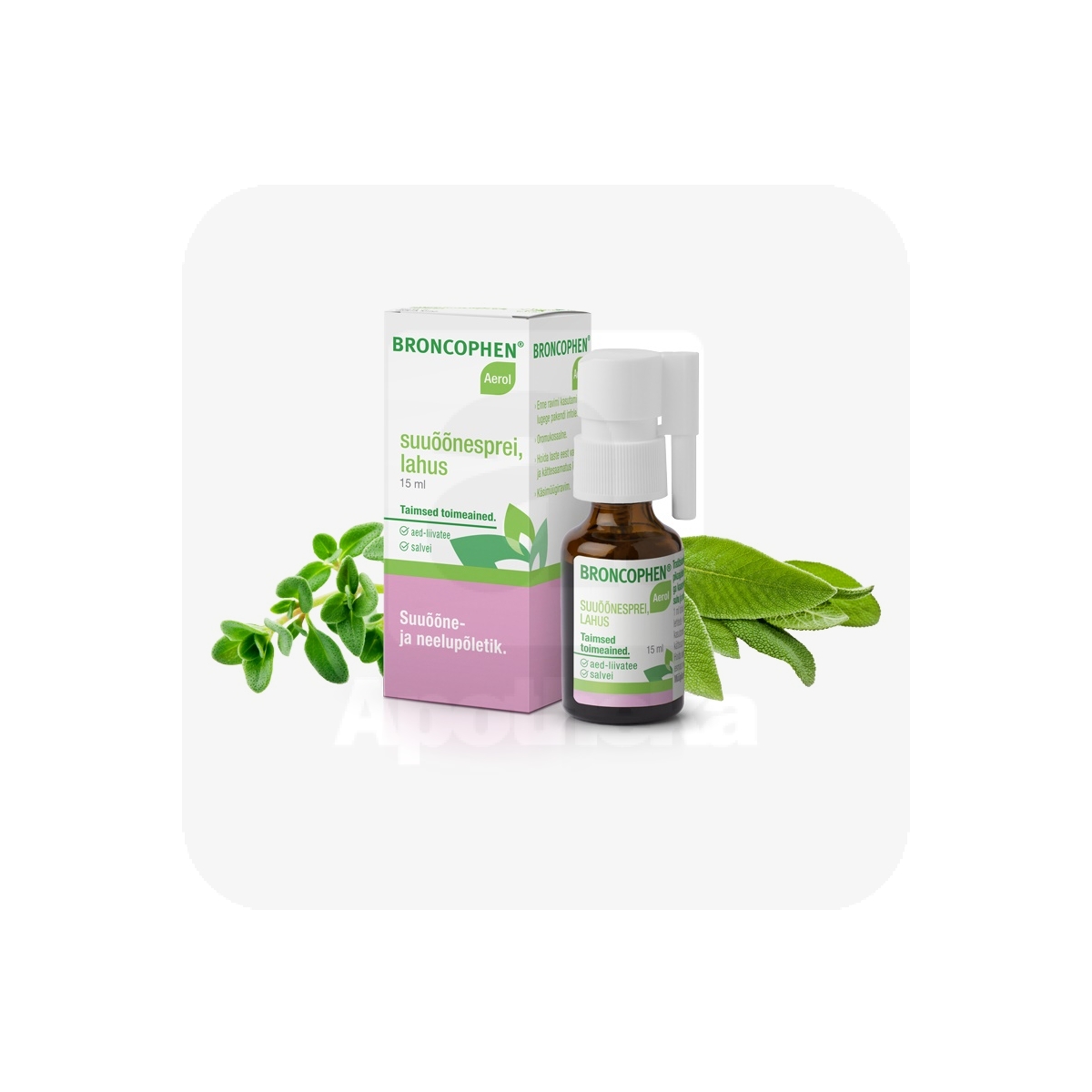 BRONCOPHEN AEROL SUUÕÕNESPREI 290MG+290MG 15ML - Изображение товара