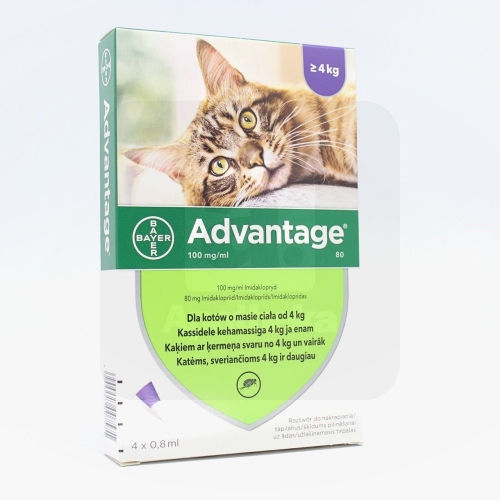 ADVANTAGE TÄPILAHUS 100MG/ML 0,8ML N4 (KASSILE)