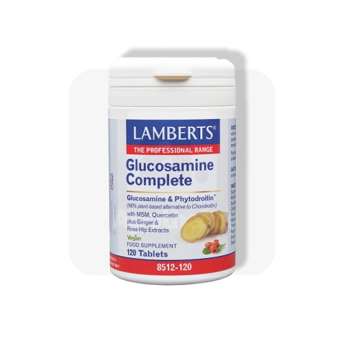 LAMBERTS GLÜKOOSAMIINI KOMPLEKS TBL N120