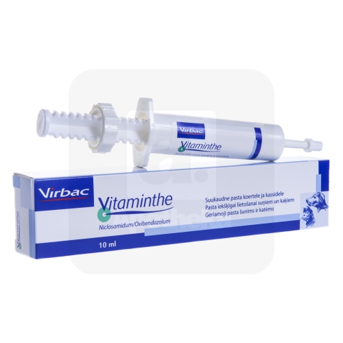 VITAMINTHE SUUKAUDNE PASTA 0,24G+0,03G/1ML 10ML N1