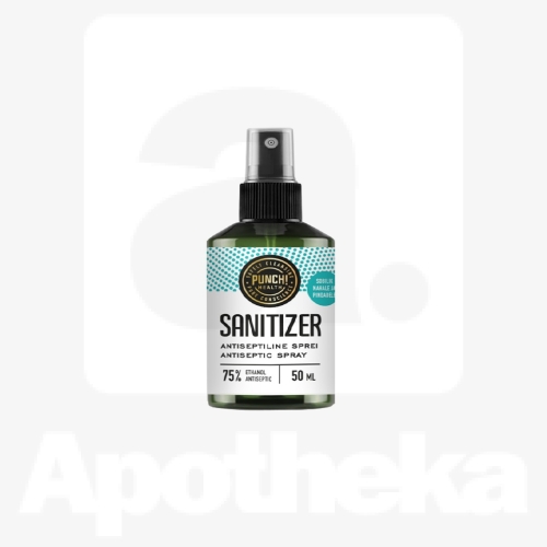 PUNCH SANITIZER KÄTE DESINFITSEERIMISVAHEND 50ML PIHUSTIGA