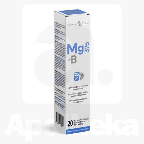 MAGNEESIUM 375MG + B VIT LAHUSTUV TBL N20
