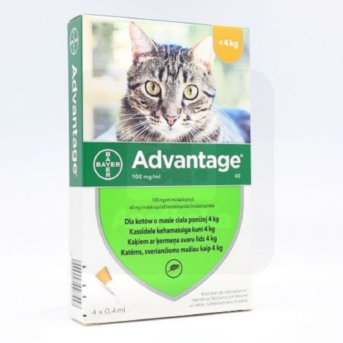 ADVANTAGE TÄPILAHUS 100MG/ML 0,4ML N4 (KASSILE)