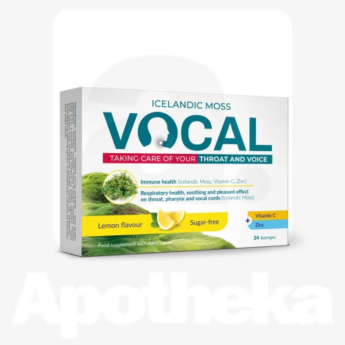 VOCAL IMEMISTABLETID SIDRUNIMAITSELISED N24
