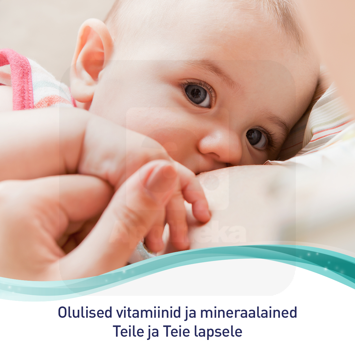 ELEVIT BREASTFEEDING KAPSLID N30 - Изображение товара 3