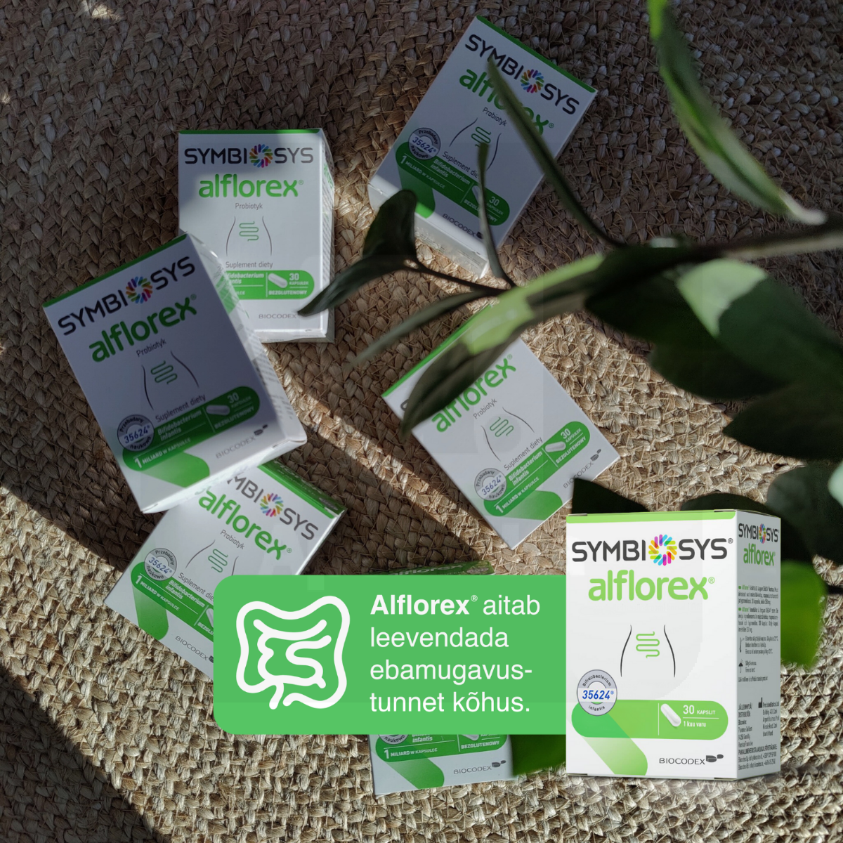 SYMBIOSYS ALFLOREX KAPSLID N15 - Изображение товара 5