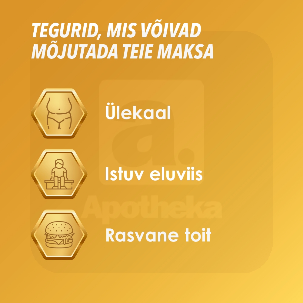 ESSENTIALE FORTE N CAPS 300MG N90 - Изображение товара 2