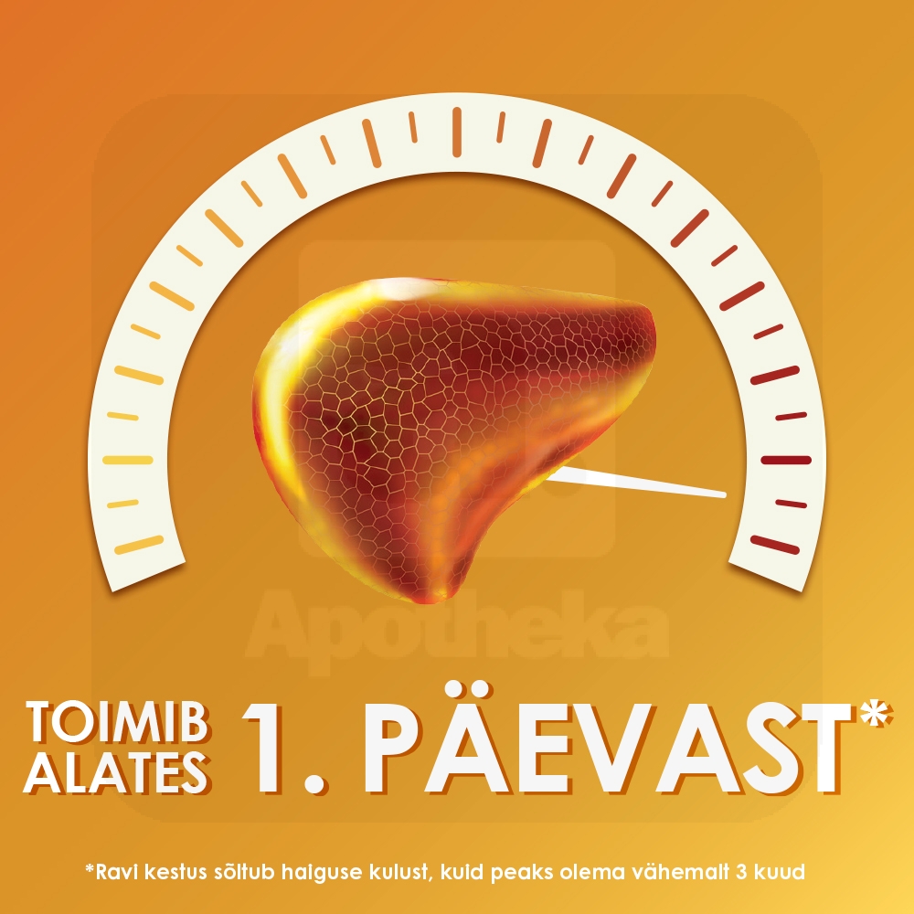 ESSENTIALE FORTE N CAPS 300MG N30 - Изображение товара 3
