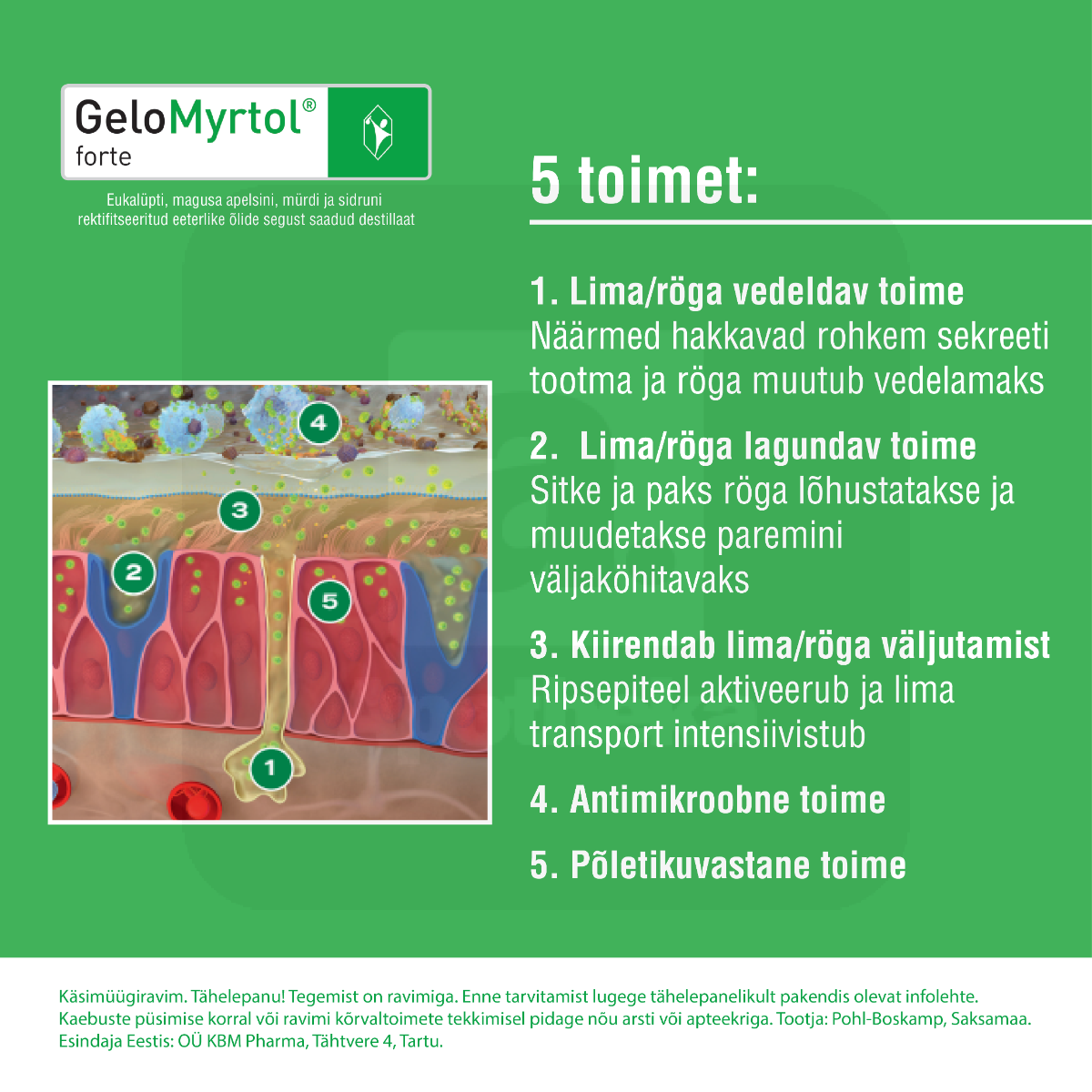 GELOMYRTOL FORTE GASTRORESIST KAPSEL 300MG N20 - Изображение товара 3