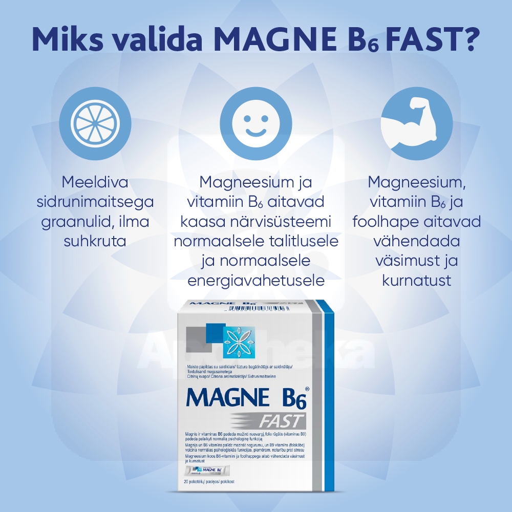 MAGNE B6 FAST N20 - Изображение товара 2