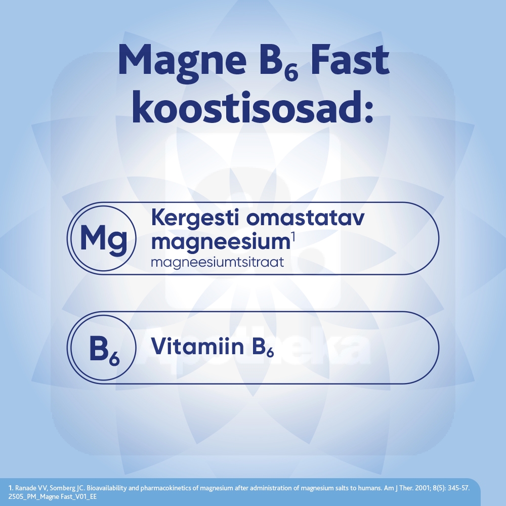MAGNE B6 FAST N20 - Изображение товара 3