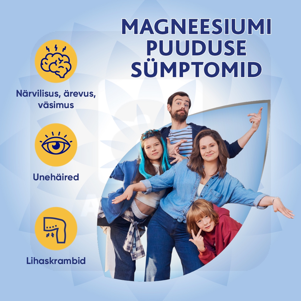 MAGNE B6 KAETUD TBL 5MG+470MG N60 - Изображение товара 2