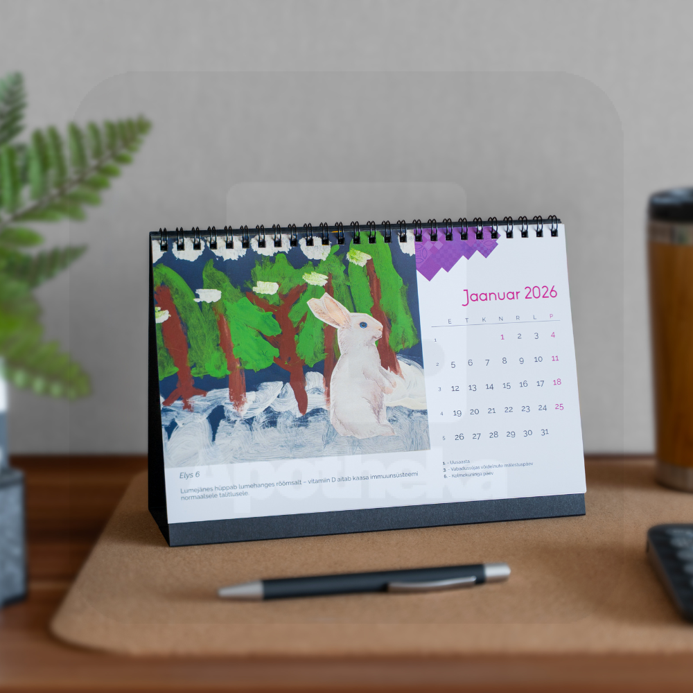 RÕÕM LAUAKALENDER 2026 - Изображение товара 3