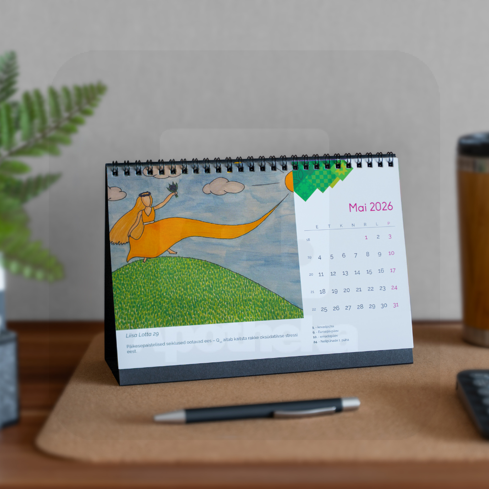 RÕÕM LAUAKALENDER 2026 - Изображение товара 7