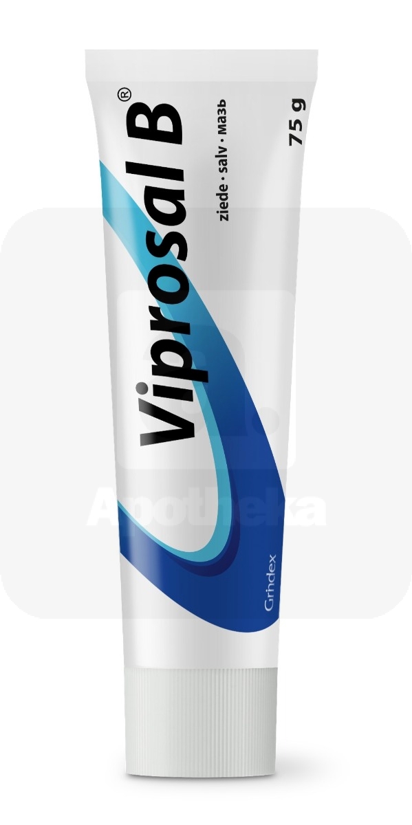 VIPROSAL B SALV 30+10+30MG+0,05TÜ/G 75G - Изображение товара 2